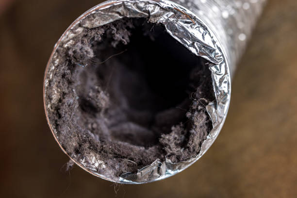 Best Air Duct Cleaning Company Near Me  in Avila Beach, CA